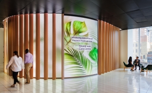 Designing the Perfect Digital Display with Customizable LED Solutions